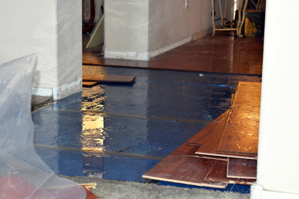 Professional Flood Cleanup technician working in Saint James, NY